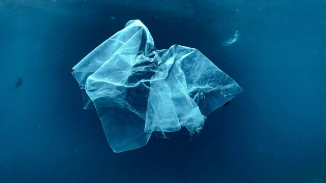 Παγκόσμια Ημέρα κατά της Πλαστικής Σακούλας: Μία πρόσκληση για ένα βιώσιμο μέλλον