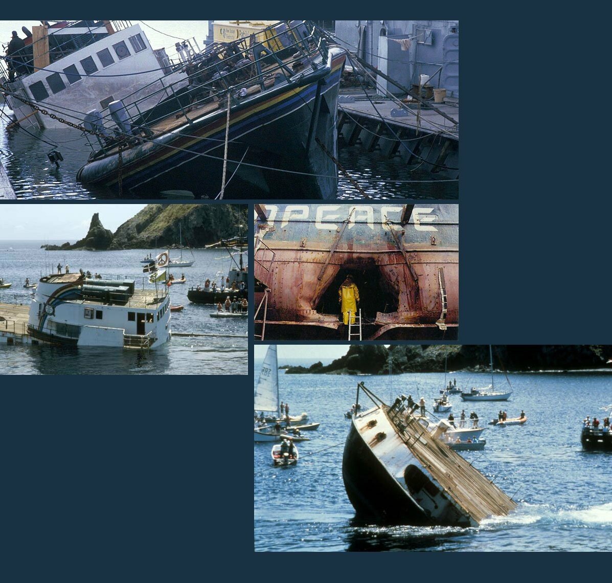 Βλ.lust4rust.com, panicmanual.com, news.yahoo.com και Te Ara Encyclopedia of New Zealand.