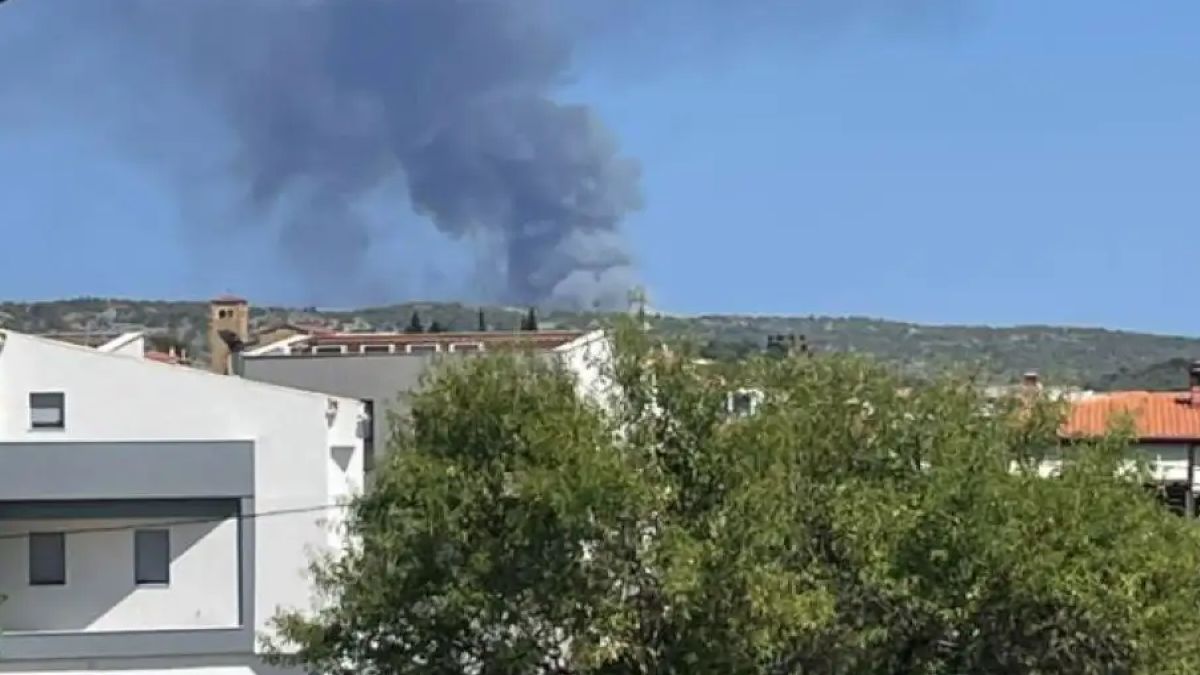 Πυρκαγιά στη Χαλκιδική: Μεγάλη κινητοποίηση για την κατάσβεση – Ήχησε το 112