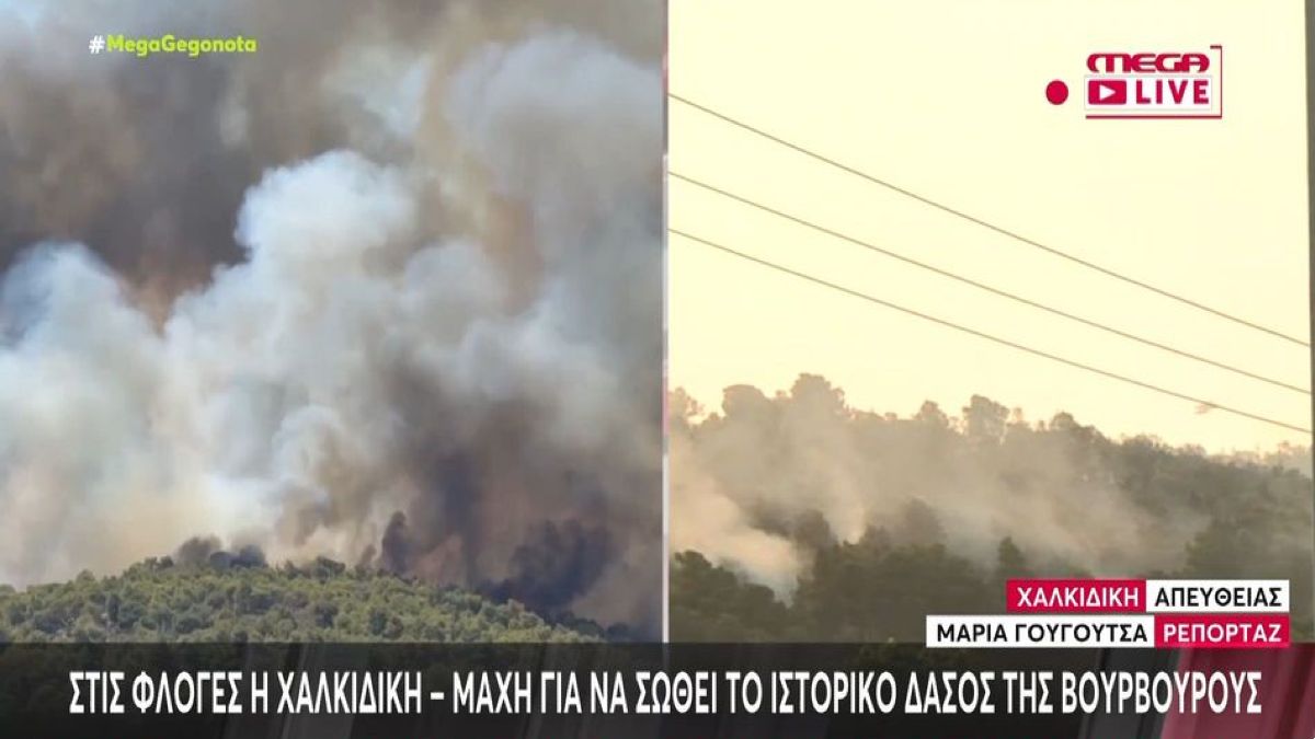 Σε εξέλιξη η μεγάλη φωτιά στη Χαλκιδική: Δύσβατο το σημείο, ενισχύθηκαν οι εναέριες δυνάμεις