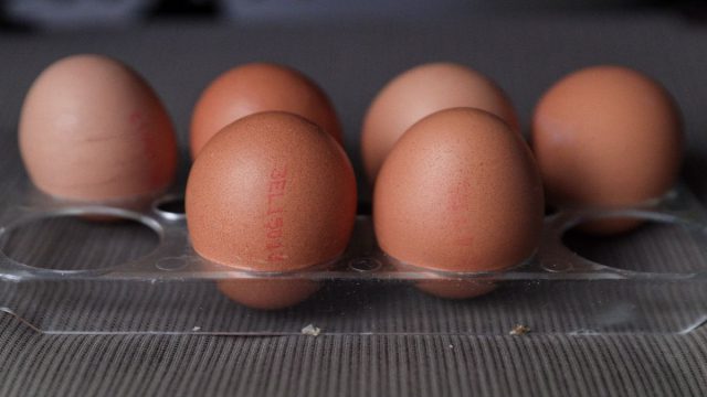 «Τα χημικά αυτά βρίσκονται πλέον παντού στο περιβάλλον»: Οι επιστήμονες καθησυχάζουν για τα ελληνικά αυγά