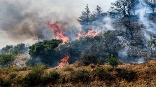 Συνεχίζεται ο πύρινος «εφιάλτης»: Συνελήφθη 25χρονος για εμπρησμό – Η φωτιά έφτασε στην Αρόη, μάχη να μην περάσει στην Πάτρα