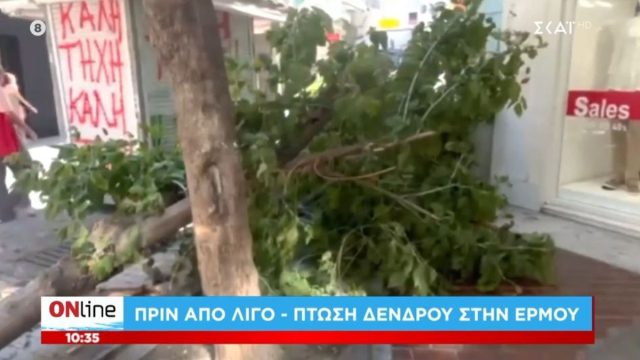 Συναγερμός στην Αθήνα: Έπεσε δέντρο στην Ερμού