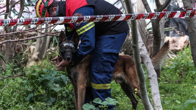 Τραγική εξέλιξη στα Ιωάννινα: Νεκρός εντοπίστηκε 75χρονος αγνοούμενος