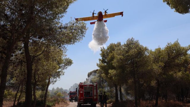 Νέος συναγερμός στην Πυροσβεστική: Φωτιά στο Λασίθι