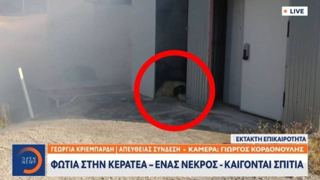 Στιγμές αγωνίας για ένα σκυλάκι στην Κερατέα: Συγκλονιστικό βίντεο διάσωσης από εθελοντή πυροσβέστη