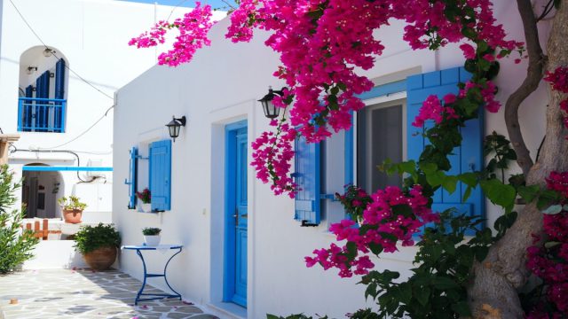 4 νησιά που πήραν το όνομά τους από φυτά!