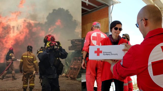 Έκκληση για τρόφιμα απευθύνει ο Ελληνικός Ερυθρός Σταυρός για τους πυρόπληκτους και τα αδέσποτα ζώα