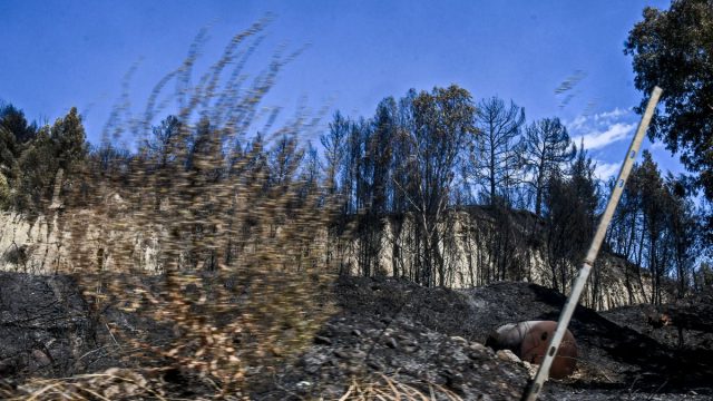 Η Ελλάδα για άλλη μια φορά μετρά τις πληγές της: Ο τραγικός απολογισμός που αφήνει πίσω της η φωτιά σε τέσσερις περιοχές