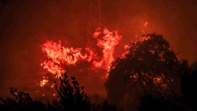 «Καμπανάκι» από τον Λαγουβάρδο για τις φωτιές – Στάχτη 454.000 στρέμματα στην Ελλάδα και 9.000.000 στην Ευρώπη