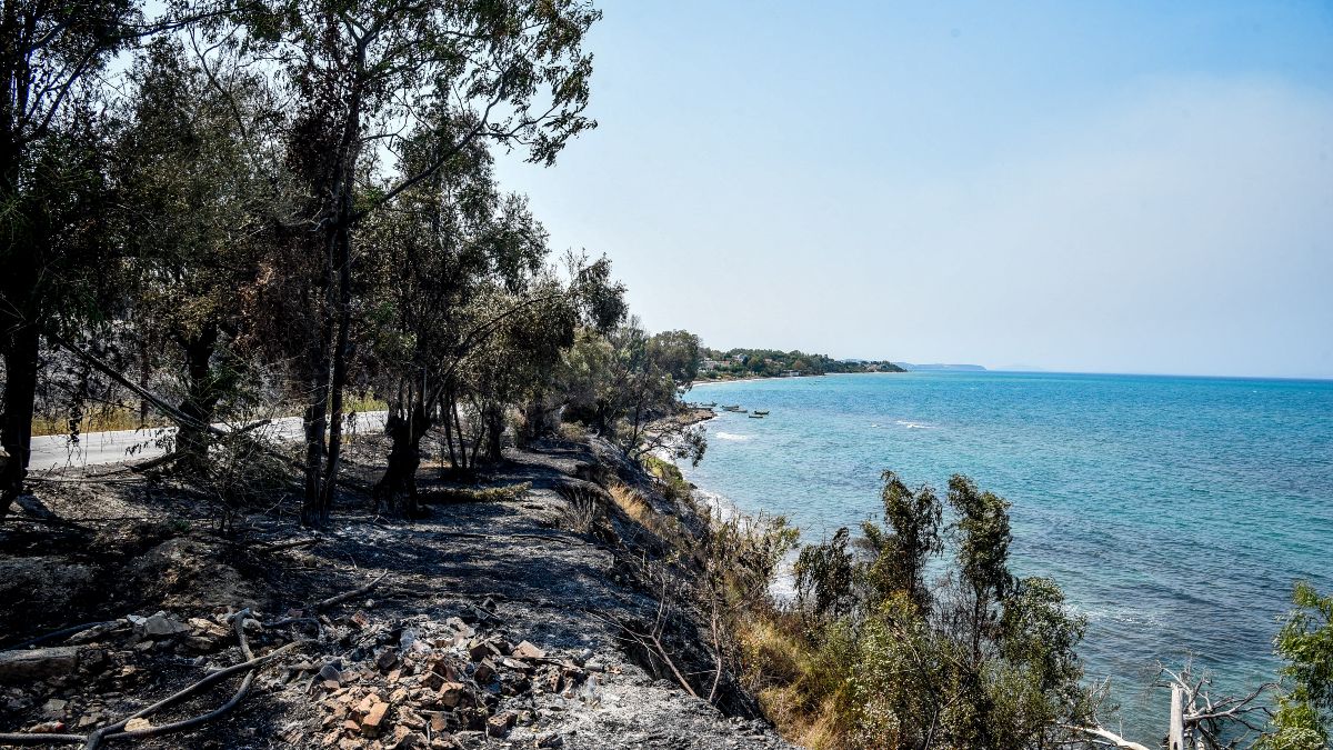 Κρανίου τόπος Πάτρα και Χίος από την φωτιά που διέλυσε τα πάντα: Ο τραγικός απολογισμός και η βοήθεια της ΕΕ