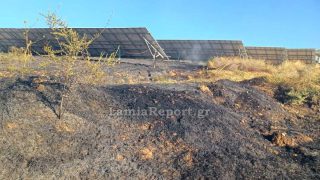Φωτιά στο Δομοκό: Καίει σε φωτοβολταϊκό πάρκο στον Άγιο Στέφανο