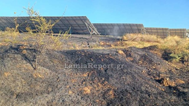 Φωτιά στο Δομοκό: Καίει σε φωτοβολταϊκό πάρκο στον Άγιο Στέφανο