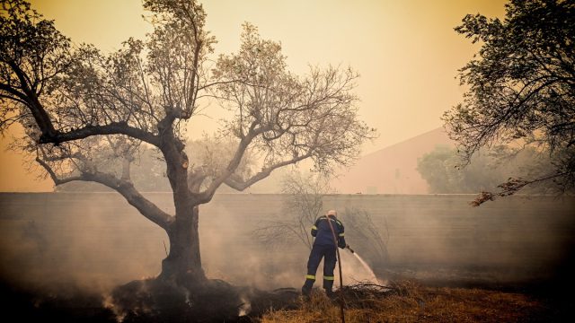 Πυρκαγιά στην Ανατολική Αττική: Εντοπίστηκε γκαζάκι στον Άγιο Νικόλαο Σαρωνικού