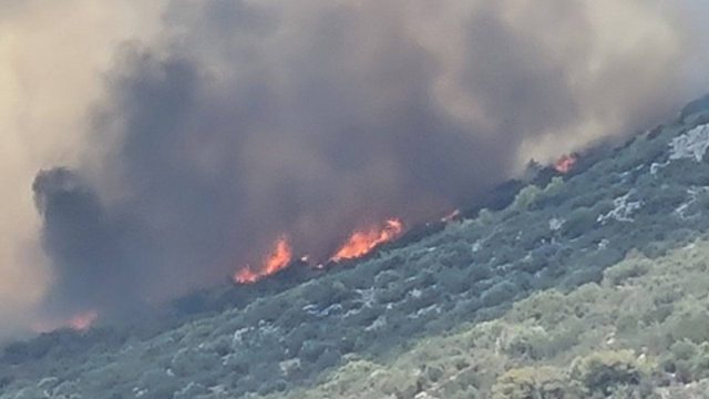 Φωτιά στην Κερατέα – Επιχειρούν επίγεια και εναέρια μέσα