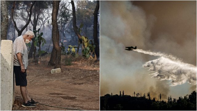Φωτιές σε Κερατέα και Ηλεία: Βελτιωμένη εικόνα μετά από ολονύχτια μάχη – Ένας νεκρός, 385 απεγκλωβισμοί