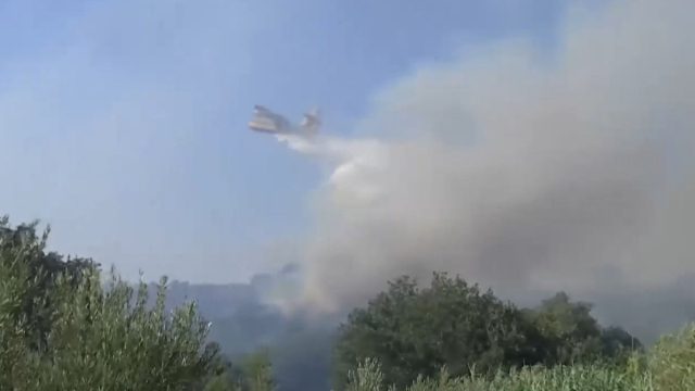 Συναγερμός με την φωτιά στην Ηλεία: Ανεξέλεγκτο το μέτωπο στα Λεχαινά