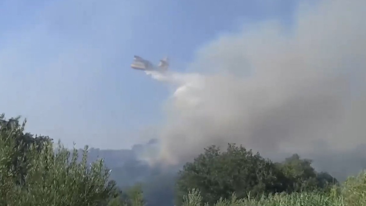 Συναγερμός με την φωτιά στην Ηλεία: Ανεξέλεγκτο το μέτωπο στα Λεχαινά