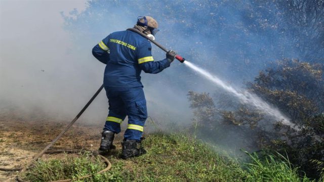 Φωτιά στα Μέγαρα – Επιχειρούν ισχυρές δυνάμεις της Πυροσβεστικής