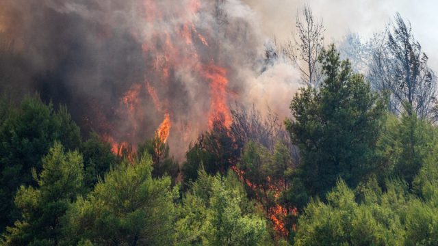 Τέσσερις φωτιές σε Κεφαλονιά, Φωκίδα, Βόνιτσα και Ζάκυνθο – Συνδράμουν εναέρια μέσα