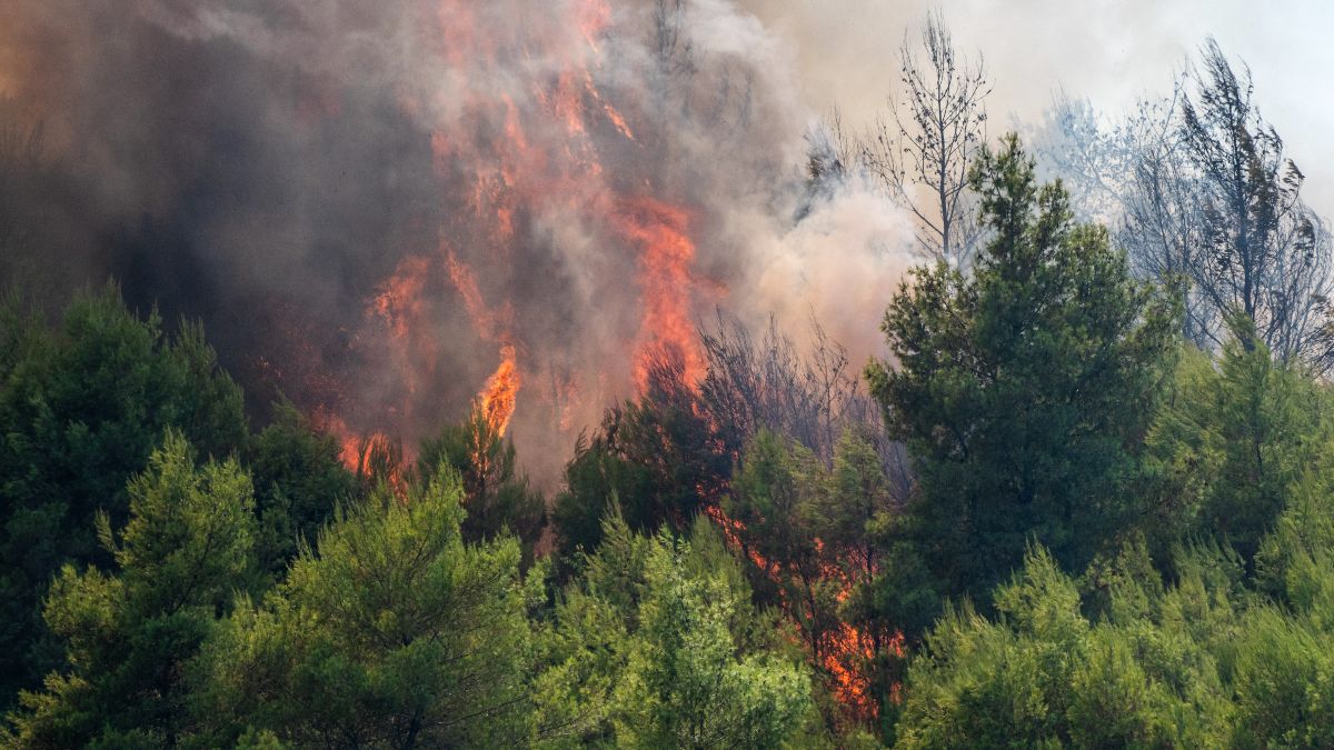 Τέσσερις φωτιές σε Κεφαλονιά, Φωκίδα, Βόνιτσα και Ζάκυνθο – Συνδράμουν εναέρια μέσα