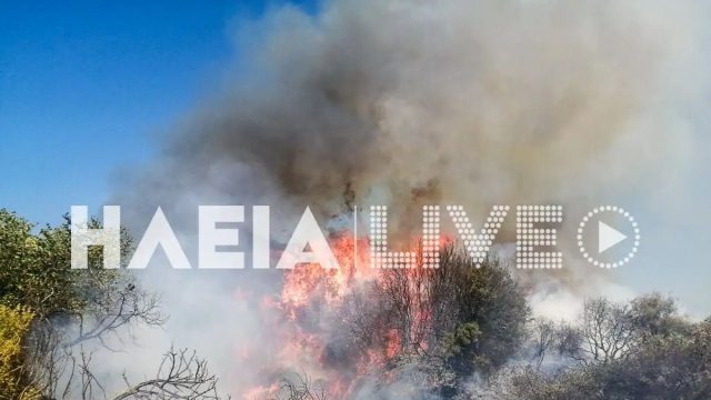 Πυρκαγιά στην Ηλεία: Επίγειες και εναέριες δυνάμεις επιχειρούν για τον περιορισμό της φωτιάς