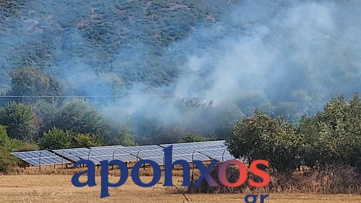 Φωτιά στην Εθνική Οδό Διστόμου – Λιβαδειάς
