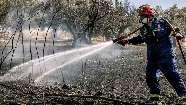 Μεγάλη φωτιά στον Άγιο Στέφανο – Ενισχυμένες πυροσβεστικές δυνάμεις στο Πευκόφυτο