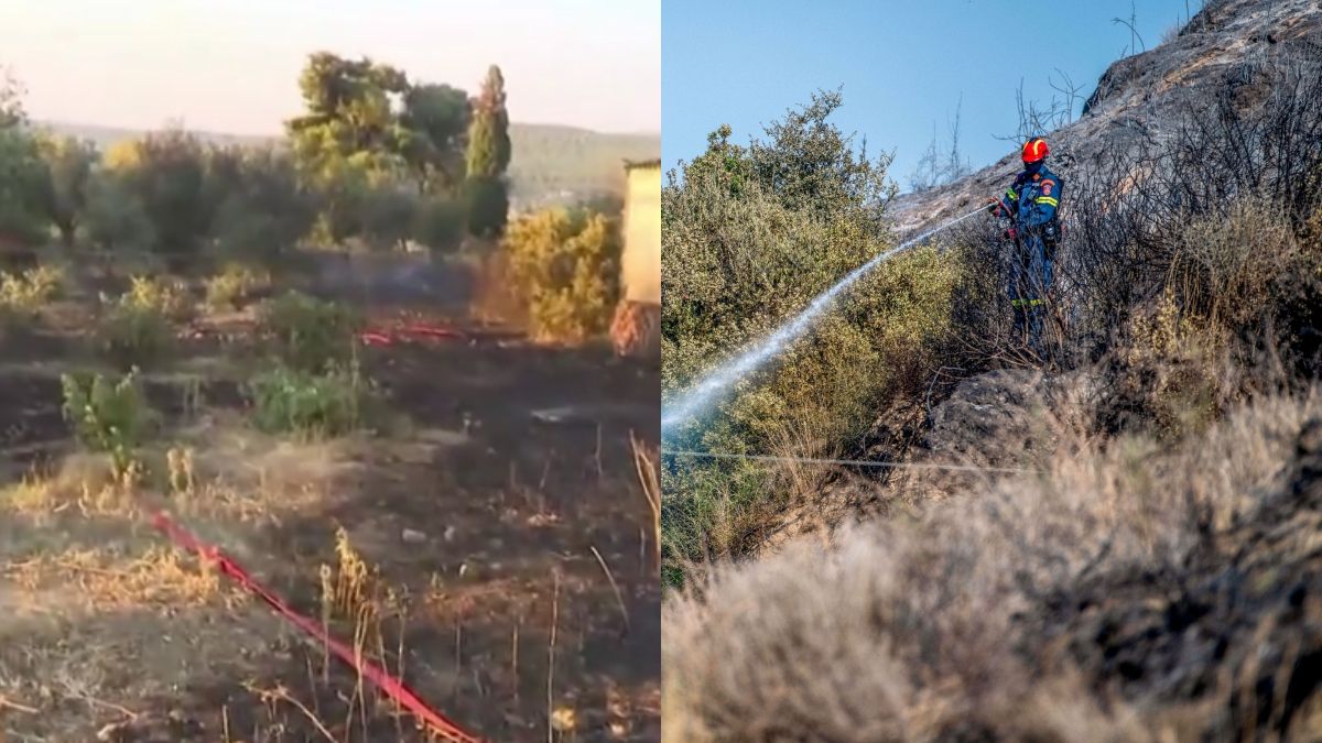 Υπό έλεγχο η φωτιά στην Οινόη – Σταδιακή η αποκατάσταση της κυκλοφορίας