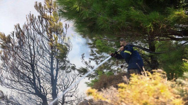 Φωτιές και προϋπολογισμός: Πόσα ξοδεύει η Ελλάδα κάθε χρόνο για την Πολιτική Προστασία;