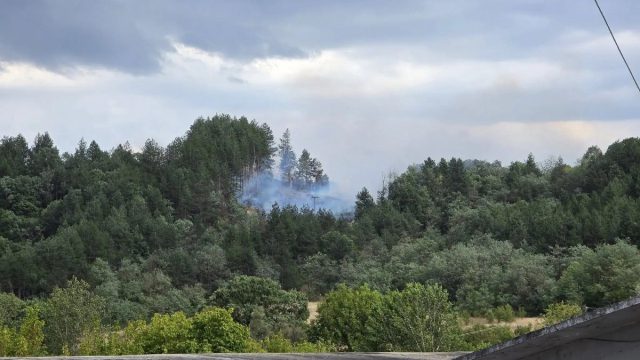 Δασική πυρκαγιά στα Γρεβενά με δύο ενεργά μέτωπα