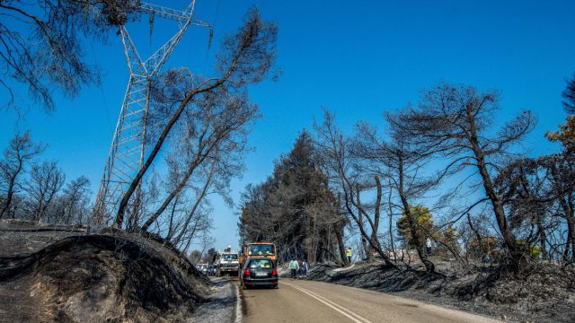 Κάηκαν 7.950 στρέμματα στην Ηλεία – Η ανάλυση του Copernicus για την καταστροφή