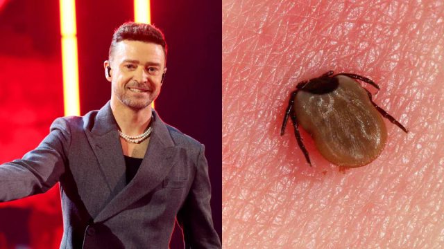 Τι είναι η σπάνια νόσος Lyme που αποκάλυψε πως έχει ο Τζάστιν Τίμπερλεϊκ