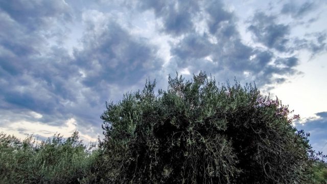 Καιρός σήμερα 17/8: Ανάσα δροσιάς με πεσμένη θερμοκρασία και βροχές – Η εκτίμηση Αρναούτογλου και Ρήγου