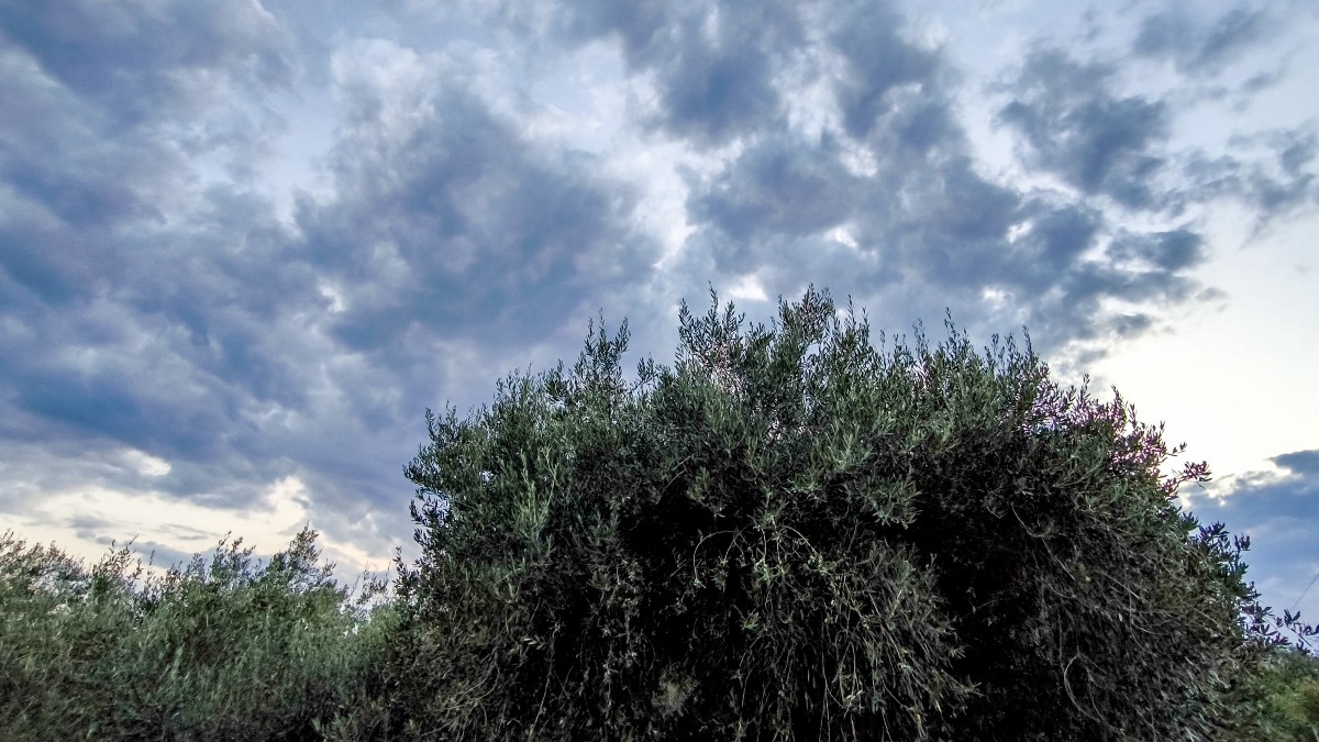 Καιρός σήμερα 17/8: Ανάσα δροσιάς με πεσμένη θερμοκρασία και βροχές – Η εκτίμηση Αρναούτογλου και Ρήγου