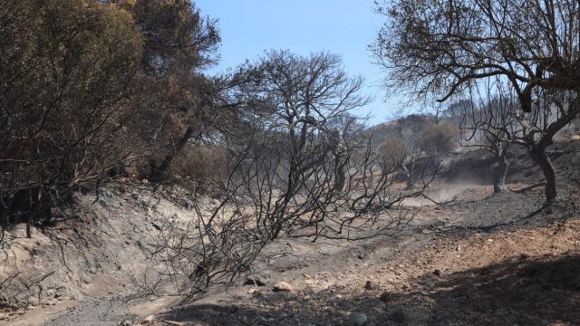Υπό έλεγχο η πυρκαγιά στην Ανατολική Αττική: 40.000 τα καμένα στρέμματα – Σε απόγνωση οι κάτοικοι