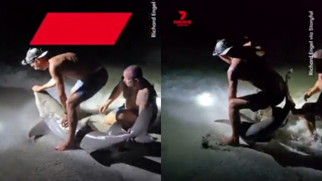 Σοκαριστικό βίντεο: Ψαράς βγάζει φωτογραφία με καρχαρία και εκείνος του επιτίθεται και τον δαγκώνει