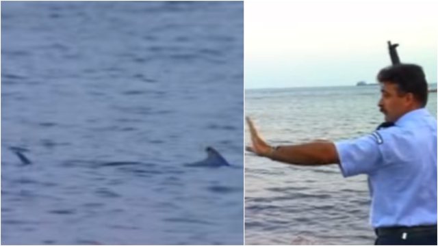 Το βίντεο που έγινε viral 28 χρόνια μετά: Αστυνομικοί πυροβολούν καρχαρίες με καλάσνικοφ στην Κύπρο
