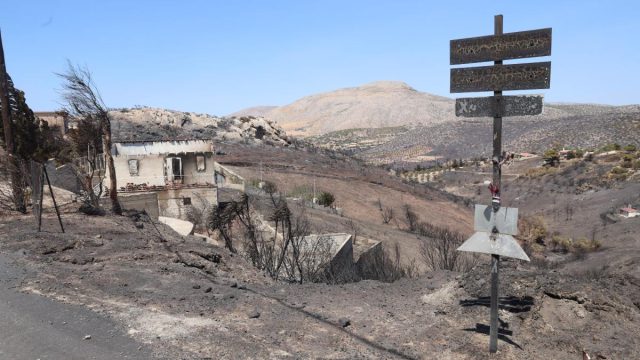 Φωτιά στην Κερατέα: Συλλήψεις υπαλλήλων του ΔΕΔΔΗΕ – Πού καταλήγουν οι Αρχές