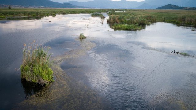 Παγκόσμια Ημέρα Λιμνών: Σεβασμός στο «σπίτι» αμέτρητων είδών ψαριών και φυτών
