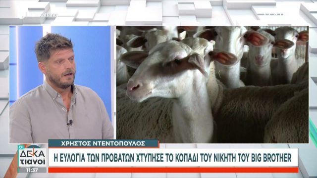 Χρήστος Ντεντόπουλος: Η ευλογιά των προβάτων «χτύπησε» τον νικητή του Big Brother – «Θανατώθηκαν και τα έθαψα»