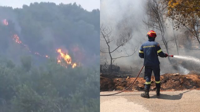Οινόη: Συνεχίζεται η πυρκαγιά που ξέσπασε τα ξημερώματα – Ήχησε το 112