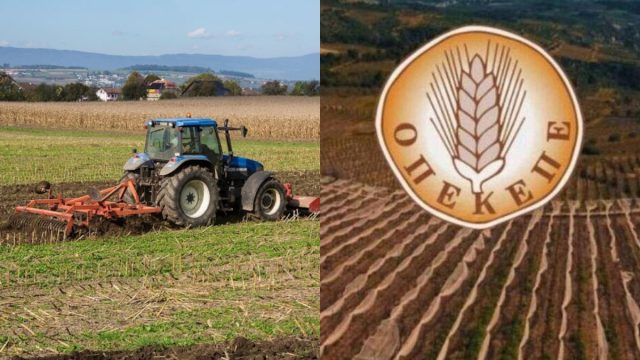 ΟΠΕΚΕΠΕ: Πλαστές αιτήσεις με ΑΦΜ των ΕΛΤΑ «μοίρασαν» 15 εκατ. ευρώ – Πάνω από 450 αγρότες πήραν επιδοτήσεις