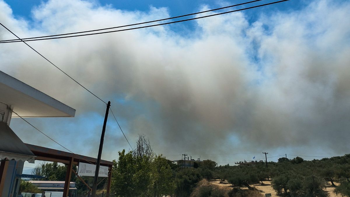 Μεγάλη πυρκαγιά στα Μοιραίικα Αχαΐας: Οι φλόγες καίνε θερμοκήπια και αγροτοδασικές εκτάσεις – Απανωτά μηνύματα εκκένωσης μέσω 112