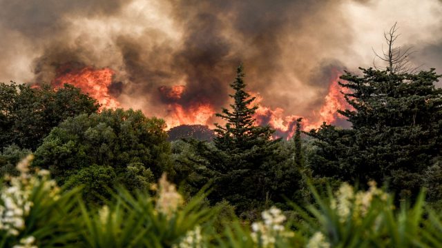 Η Ελλάδα ζητάει βοήθεια από τον Ευρωπαϊκό Μηχανισμό Πολιτικής Προστασίας – Σε εξέλιξη 106 πυρκαγιές σε όλη τη χώρα