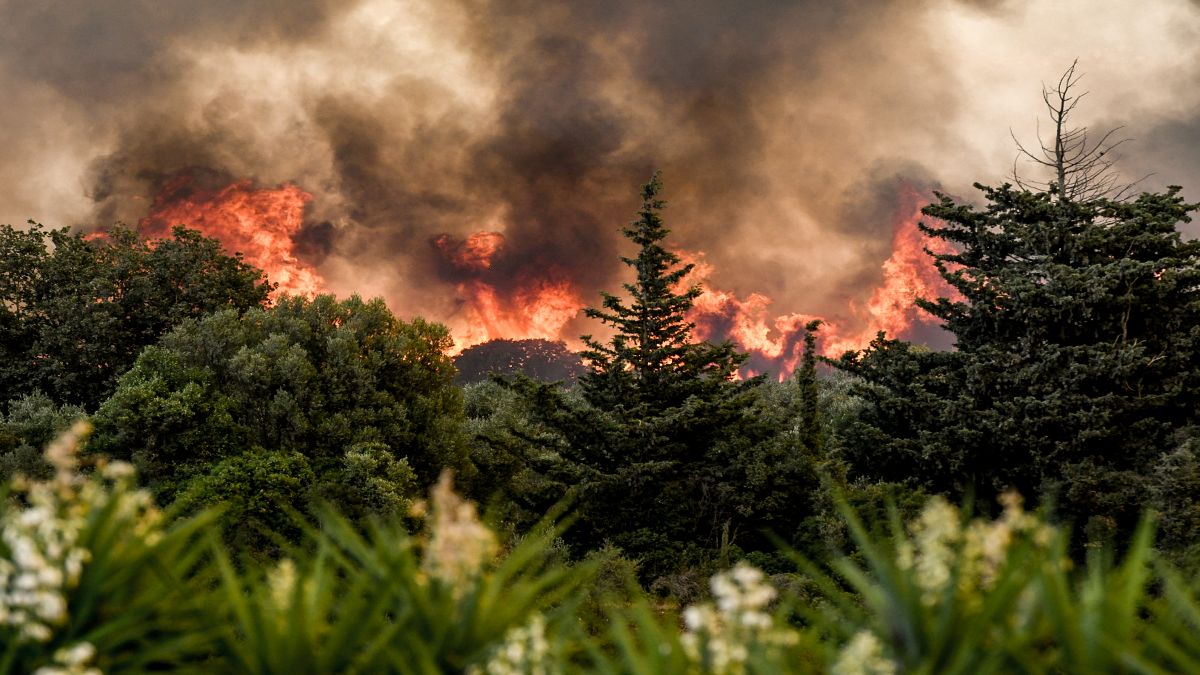 Η Ελλάδα ζητάει βοήθεια από τον Ευρωπαϊκό Μηχανισμό Πολιτικής Προστασίας – Σε εξέλιξη 106 πυρκαγιές σε όλη τη χώρα