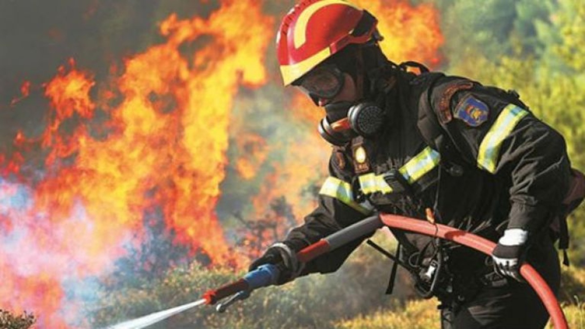 Φωτιά στα Γρεβενά στον εθνικό δρυμό της Βάλια Κάλντα – Επιχειρούν εναέρια μέσα