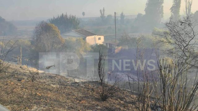 Πρέβεζα: Μάχη με τις φλόγες σε τέσσερα μέτωπα – Ήχησαν μηνύματα 112, κινδύνεψε ηλικιωμένος