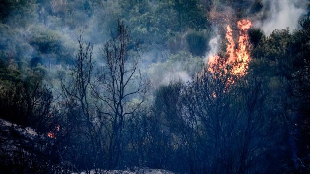 Ακραίος κίνδυνος πυρκαγιάς σε πολλές περιοχές – Συναγερμός για την Παρασκευή