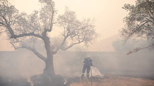 Μεγάλη φωτιά στην Κερατέα: Παραδίδονται στις φλόγες τα σπίτια – Μπαράζ 112, εκκενώνεται και η Παλαιά Φώκαια